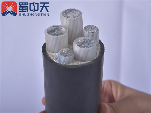 攀枝花电力电缆厂家_泸州橡套电缆价格_四川铜芯电缆销售